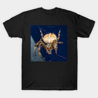 Spider T-Shirt